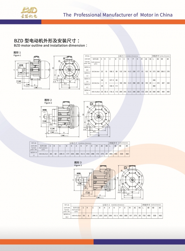 BZD-反.jpg