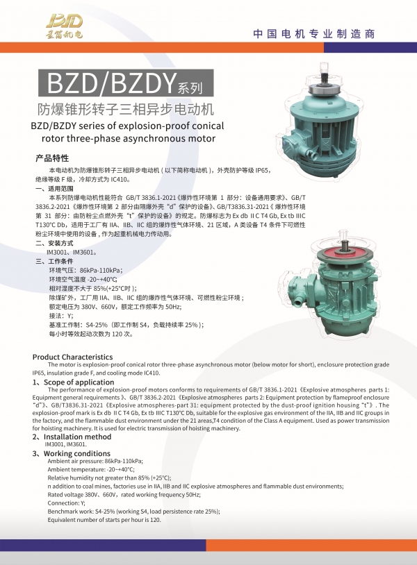 BZD-BZDY-正.jpg